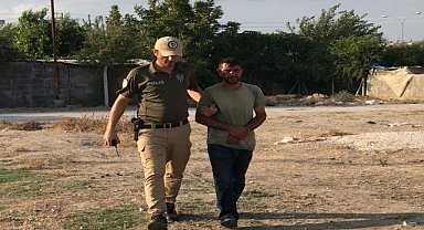 Yorulan atını yumruklayan zanlı gözaltına alındı