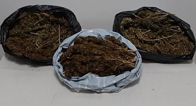 10 kilo 248 gram skunk ele geçirildi