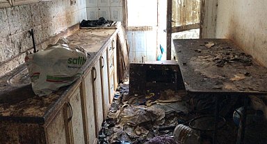 Çöp evde bulunan 5 kedi korumaya alındı