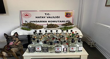 Evinde esrar ve sahte içki bulunan zanlı gözaltına alındı