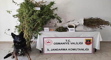 Evinde uyuşturucu ele geçirilen zanlı tutuklandı