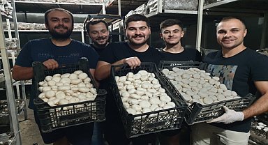 Girişimci kuzenler