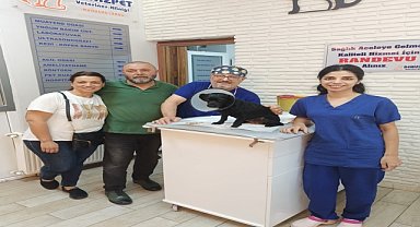 Köpeğin mesanesinden 55 taş çıkartıldı