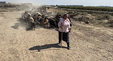 Koyun yetiştiricisi kadınlar, ıslah projesiyle bilinçlendi