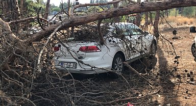 Park halindeki iki aracın üzerine ağaç devrildi
