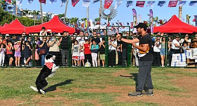 Pati Festivali