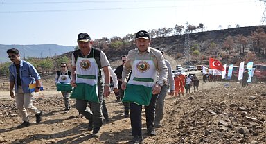 Yanan ormanlık alanlara kızılçam tohumu ekildi