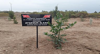 Ayşenur öğretmen anısına fidan dikildi