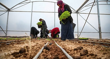 Kadın çiftçi ve tarım işçileri serada eğitilecek