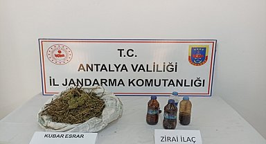 Muz bahçesinde esrar ele geçirildi