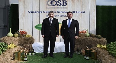 OSB muz serasında ilk hasat gerçekleştirildi