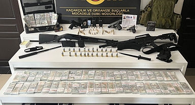 Suç örgütüne