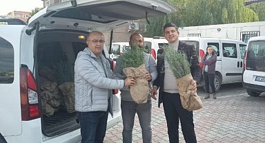 40 bin biberiye fidesi dağıtıldı