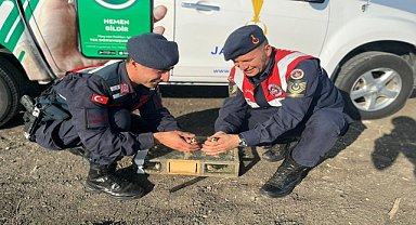 Avlanan 40 saka kuşu doğaya salındı