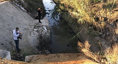 Çok sayıda eşek başı ve kemikleri bulundu