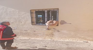Demir parmaklıklara sıkışan köpeği itfaiye kurtardı