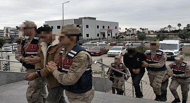 Tarladan 2 ton zeytin çalan 3 şüpheli tutuklandı