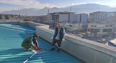 Çatıda mahsur kalan kedi yavrusu kurtarıldı