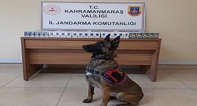 Gümrük kaçağı sigara ele geçirildi