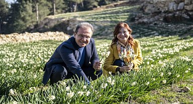 "Nergis Şenliği" yapıldı