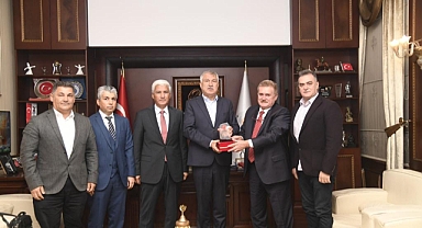Sokak hayvanları sorun olmaktan çıkıyor