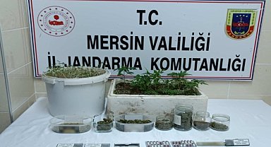 Uyuşturucu ticareti yapan şüpheli tutuklandı
