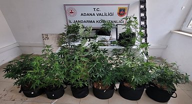 İklimlendirme sistemiyle uyuşturucu yetiştirdiler