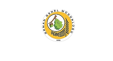 Orman yolu yaptırılacak