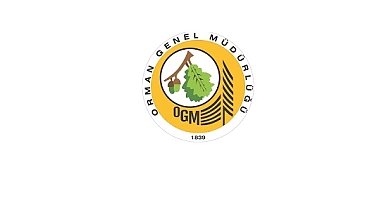 Orman yolu yaptırılacak