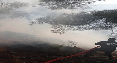 Ormanlık alanda çıkan yangın söndürüldü