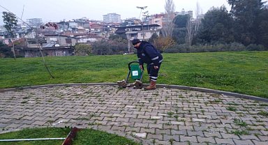Park ve bahçelerde yenileme çalışması yapıldı