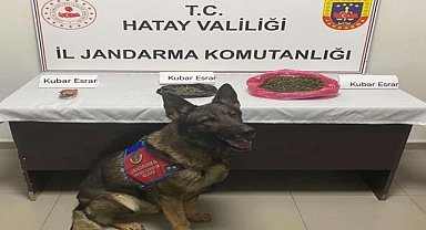 Uyuşturucu operasyonunda bir şüpheli yakalandı