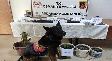 Uyuşturucu operasyonunda yakalanan zanlı tutuklandı