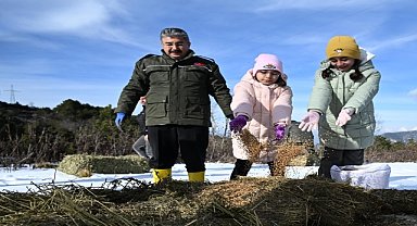 Yaban hayvanları için doğaya yem bırakıldı
