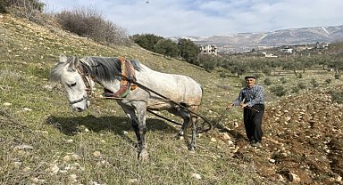 Deprem bölgesinde tarımsal faaliyet hareketleniyor