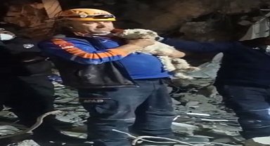 Depremin 25. gününde enkazdan bir köpek canlı çıkartıldı