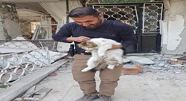 HAYDİ ekipleri, hayvanları sahiplerine ulaştırıyor