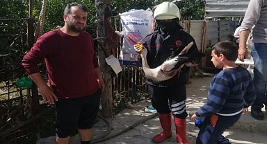 Yaralı leylek tedavi altına alındı
