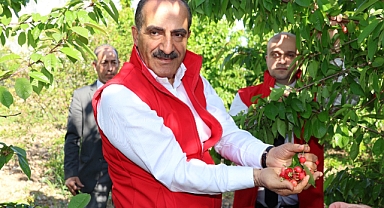 2023’ün ilk kirazı hasat edildi