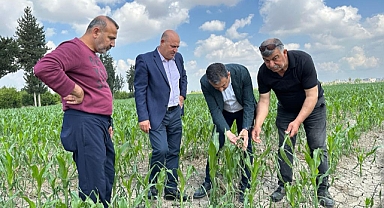 Bulut: Çiftçinin emeğini dolu vurdu, zarar karşılanmadı
