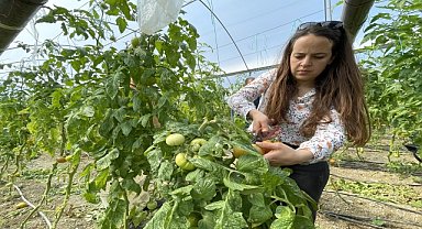 Depremzede çiftçilerin yardımına gönüllüler koşuyor