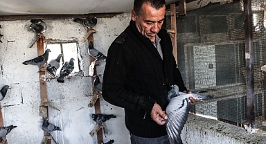Kurtardığı güvercinlerini arkadaşına emanet etti