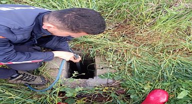 Su kuyusuna düşen 4 köpek yavrusunu itfaiye kurtardı