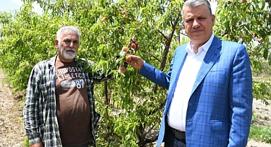 Barut: Dolu afeti çiftçiyi vurdu