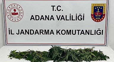 Uyuşturucu ve silah operasyonu: 11 gözaltı