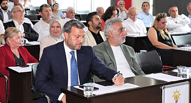 Adana'nın sorunu sivrisinek ve ASKİ