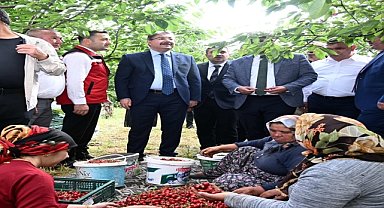 Kiraz hasadı yapıldı