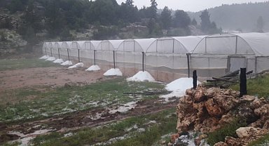 Sağanak tarım alanlarında hasara neden oldu
