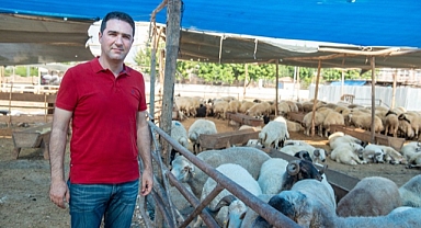 Seyhan’da ücretsiz kurban kesimi
