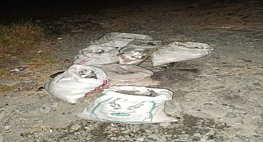 6 hırsızlık şüphelisinden 2'si tutuklandı